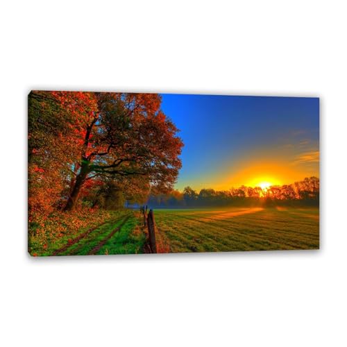 Hau3sh3a Herbstlandschaft Bild auf Leinwand Gelb Sonnenuntergang Farm Sunlight Tree Herbst Wandbilder Schlafzimmer Wald Wandbilder Modern Kunstdruck Deko füR Wohnzimmer50x30cm(20x12in) Gerahmt von Hau3sh3a