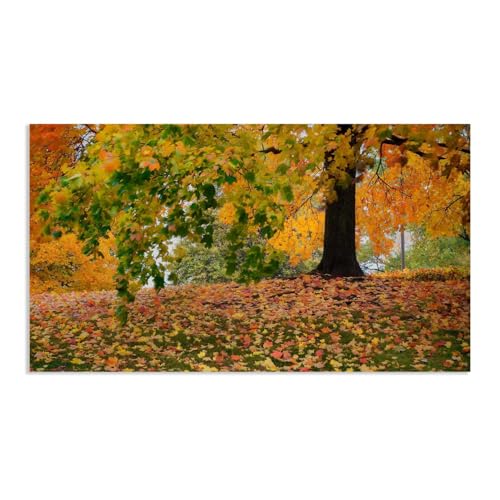 Hau3sh3a Herbstlandschaft Bild auf Leinwand Gelb gefallene Blätter Big Tree Herbst Wandbilder Schlafzimmer Wald Wandbilder Modern Kunstdruck Deko füR Wohnzimmer135x80cm(53x31in) Rahmenlos von Hau3sh3a