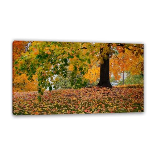 Hau3sh3a Herbstlandschaft Bild auf Leinwand Gelb gefallene Blätter Big Tree Herbst Wandbilder Schlafzimmer Wald Wandbilder Modern Kunstdruck Deko füR Wohnzimmer70x40cm(28x16in) Gerahmt von Hau3sh3a
