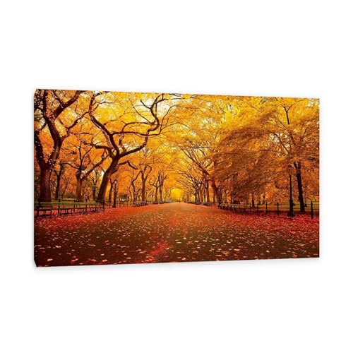 Hau3sh3a Herbstlandschaft Bild auf Leinwand Gelbe Blätter fielen auf die Park Street Herbst Wandbilder Schlafzimmer Wald Wandbilder Modern Kunstdruck Deko füR Wohnzimmer95x60cm(37x24in) Gerahmt von Hau3sh3a