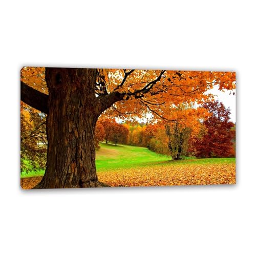 Hau3sh3a Herbstlandschaft Bild auf Leinwand Gelbe Park Gras Big Trees Hügel Herbst Wandbilder Schlafzimmer Wald Wandbilder Modern Kunstdruck Deko füR Wohnzimmer135x80cm(53x31in) Gerahmt von Hau3sh3a