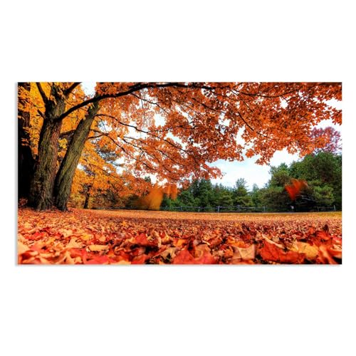 Hau3sh3a Herbstlandschaft Bild auf Leinwand Gelbe gefallene Blätter im Dashu Park Herbst Wandbilder Schlafzimmer Wald Wandbilder Modern Kunstdruck Deko füR Wohnzimmer120x70cm(47x28in) Rahmenlos von Hau3sh3a