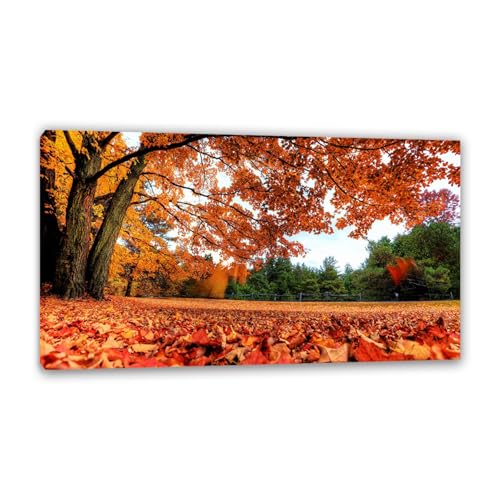 Hau3sh3a Herbstlandschaft Bild auf Leinwand Gelbe gefallene Blätter im Dashu Park Herbst Wandbilder Schlafzimmer Wald Wandbilder Modern Kunstdruck Deko füR Wohnzimmer50x30cm(20x12in) Gerahmt von Hau3sh3a