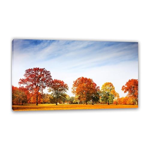 Hau3sh3a Herbstlandschaft Bild auf Leinwand Gelbe rote Blätter Bäume Park Herbst Wandbilder Schlafzimmer Wald Wandbilder Modern Kunstdruck Deko füR Wohnzimmer100x60cm(39x24in) Gerahmt von Hau3sh3a