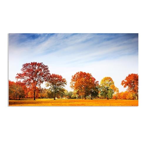 Hau3sh3a Herbstlandschaft Bild auf Leinwand Gelbe rote Blätter Bäume Park Herbst Wandbilder Schlafzimmer Wald Wandbilder Modern Kunstdruck Deko füR Wohnzimmer135x80cm(53x31in) Rahmenlos von Hau3sh3a