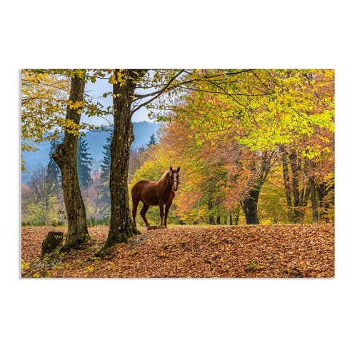 Hau3sh3a Herbstlandschaft Bild auf Leinwand Pferde unter gelben Bäumen in Rumänien Herbst Wandbilder Schlafzimmer Wald Wandbilder Modern Kunstdruck Deko füR Wohnzimmer50x30cm(20x12in) Rahmenlos von Hau3sh3a