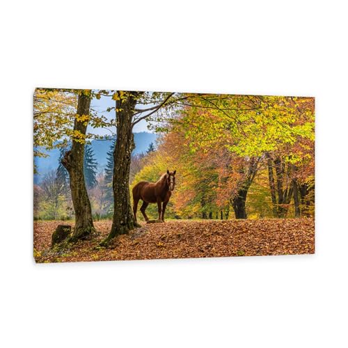 Hau3sh3a Herbstlandschaft Bild auf Leinwand Pferde unter gelben Bäumen in Rumänien Herbst Wandbilder Schlafzimmer Wald Wandbilder Modern Kunstdruck Deko füR Wohnzimmer80x50cm(31x20in) Gerahmt von Hau3sh3a