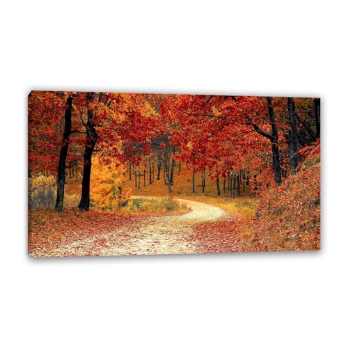 Hau3sh3a Herbstlandschaft Bild auf Leinwand Rote Bäume Blätter gehen Pfad Herbst Wandbilder Schlafzimmer Wald Wandbilder Modern Kunstdruck Deko füR Wohnzimmer70x40cm(28x16in) Gerahmt von Hau3sh3a