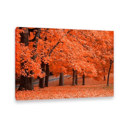 Hau3sh3a Herbstlandschaft Bild auf Leinwand Rote Blätter im Park Herbst Wandbilder Schlafzimmer Wald Wandbilder Modern Kunstdruck Deko füR Wohnzimmer110x80cm(43x31in) Gerahmt von Hau3sh3a