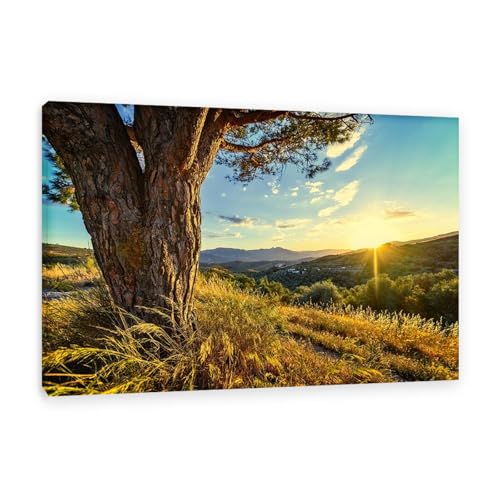 Hau3sh3a Herbstlandschaft Bild auf Leinwand Sonnenaufgang Big Tree Sunset Hoffnung Herbst Wandbilder Schlafzimmer Wald Wandbilder Modern Kunstdruck Deko füR Wohnzimmer75x50cm(30x20in) Gerahmt von Hau3sh3a