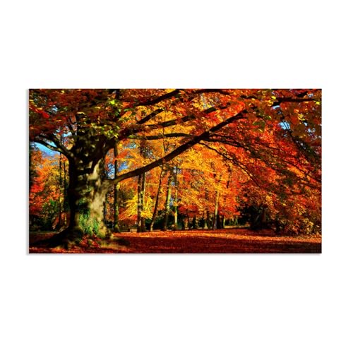 Hau3sh3a Herbstlandschaft Bild auf Leinwand Sonnenlicht hinterlässt Bäume Wald rot Herbst Wandbilder Schlafzimmer Wald Wandbilder Modern Kunstdruck Deko füR Wohnzimmer135x80cm(53x31in) Rahmenlos von Hau3sh3a
