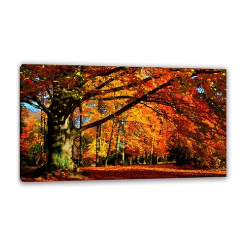 Hau3sh3a Herbstlandschaft Bild auf Leinwand Sonnenlicht hinterlässt Bäume Wald rot Herbst Wandbilder Schlafzimmer Wald Wandbilder Modern Kunstdruck Deko füR Wohnzimmer85x50cm(33x20in) Gerahmt von Hau3sh3a