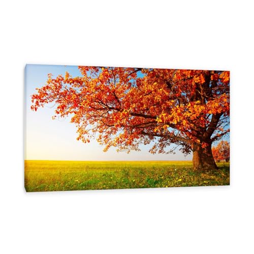 Hau3sh3a Herbstlandschaft Bild auf Leinwand gelbe Big Tree Gras Sonnenlicht Herbst Wandbilder Schlafzimmer Wald Wandbilder Modern Kunstdruck Deko füR Wohnzimmer110x70cm(43x28in) Gerahmt von Hau3sh3a
