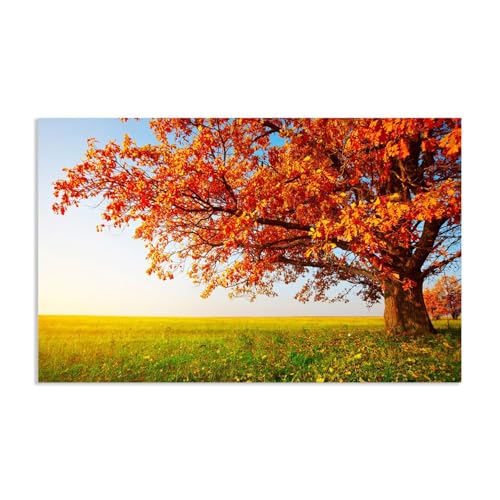 Hau3sh3a Herbstlandschaft Bild auf Leinwand gelbe Big Tree Gras Sonnenlicht Herbst Wandbilder Schlafzimmer Wald Wandbilder Modern Kunstdruck Deko füR Wohnzimmer50x30cm(20x12in) Rahmenlos von Hau3sh3a