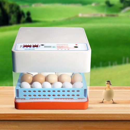 24 Eier Brutautomatisch Vollautomatisch Eier Automatisch Drehen mit LED Temperaturanzeige Temperatur- und Feuchtigkeitsalarm für Hühnern, Wachteln, Enten, Weiß von HauTour
