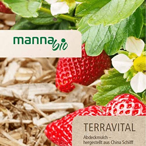 Manna Bio Terravital Abdeckmulch 15 kg Chinaschilff Schilff Mulch von Hauert