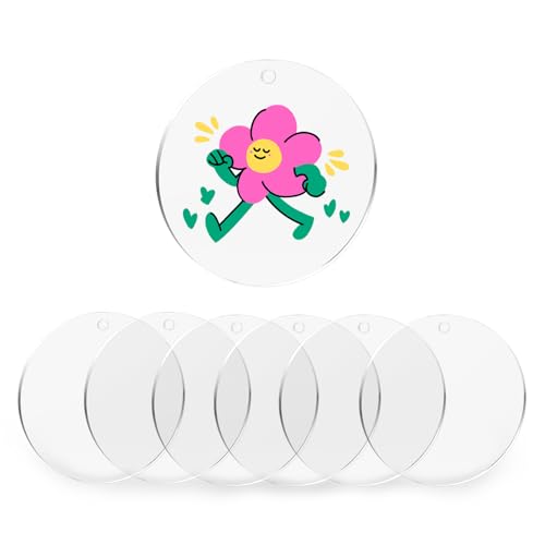 6 Stück Glasplatte Rund, Acrylglasplatte Rund Acrylscheibe mit Loch, Transparente Acrylplatte 10cm/3.93inch, für DIY Dekoration Wandbehänge, Produktdisplays, Hochzeitsschilder und Partyschilder von Hauojaus