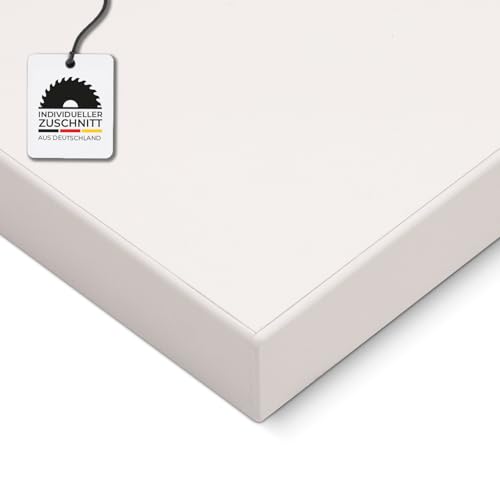 HausFux Spanplatte nach Maß - 1,9 cm stark, melaminbeschichtet, mit ABS-Kante - Made in Germany - Maßanfertigung - für Möbel- und Innenausbau (Icy White, 200 x 60 cm) von Hausfux