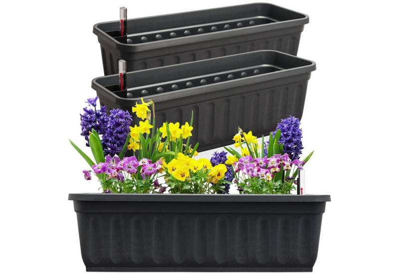 Hausfelder Blumenkasten Balkonkasten mit Wasserstandsanzeiger, Pflanzkasten 3er Set, 60cm (3er Set, 0 St., Jedes Set enthält: Füllstandsanzeiger, Boden, Pflanzkasten), Blumenkästen UV- und witterungsbeständig für innen und außen, matt von Hausfelder