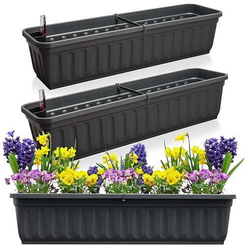 Hausfelder Blumenkasten 3er Set mit Wasserspeicher und Wasserstandsanzeige, Pflanzkasten für Garten und Balkon witterungsbeständig für Innen und Außen (Anthrazit-Schwarz, 80cm lang - 3er Set) von Hausfelder