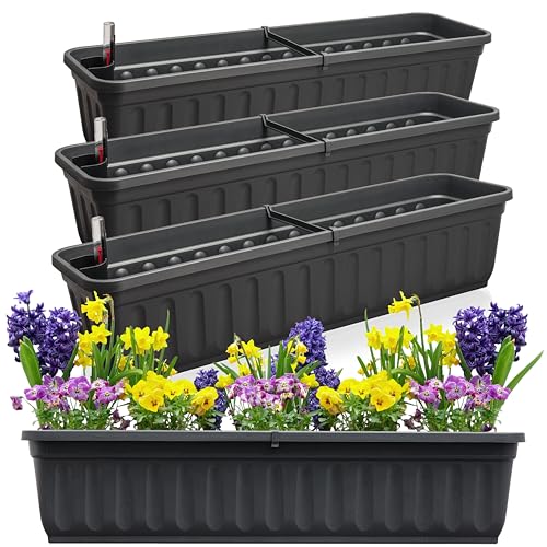 Hausfelder Blumenkasten 4er Set mit Wasserspeicher und Wasserstandsanzeige, Pflanzkasten für Garten und Balkon witterungsbeständig für Innen und Außen (Anthrazit-Schwarz, 80cm lang - 4er Set) von Hausfelder