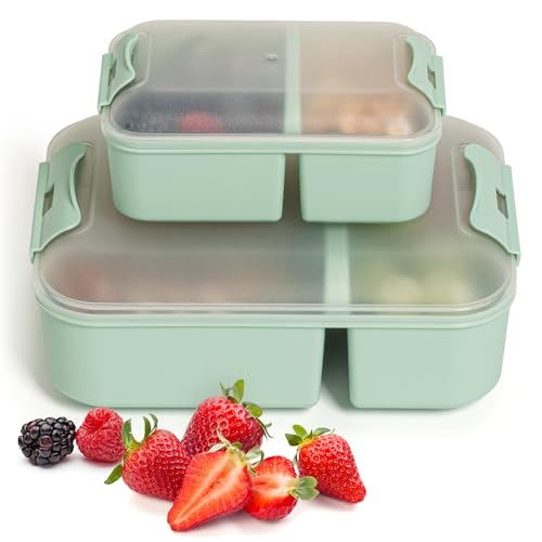 Hausfelder Brotdosen Lunchbox 2er Set, Lunchbox mit Fächern, Bento Box für Erwachsene und Kinder (MintGreen, 1 x Groß 1 x Klein) von Hausfelder