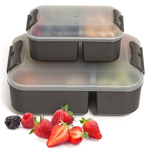 Hausfelder Brotdosen Lunchbox 2er Set, Lunchbox mit Fächern, Bento Box für Erwachsene und Kinder (SpaceBlack, 1 x Groß 1 x Klein) von Hausfelder