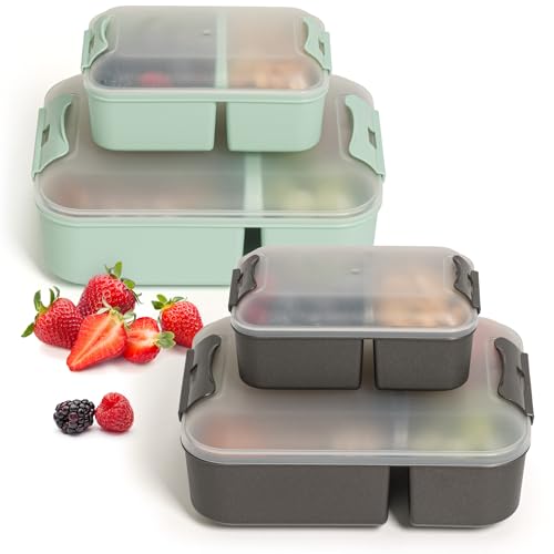 Hausfelder Brotdosen Lunchbox 4er Set, Lunchbox mit Fächern, Bento Box für Erwachsene und Kinder (SpaceBlack und MintGreen, 2 x Groß 2 x Klein) von Hausfelder