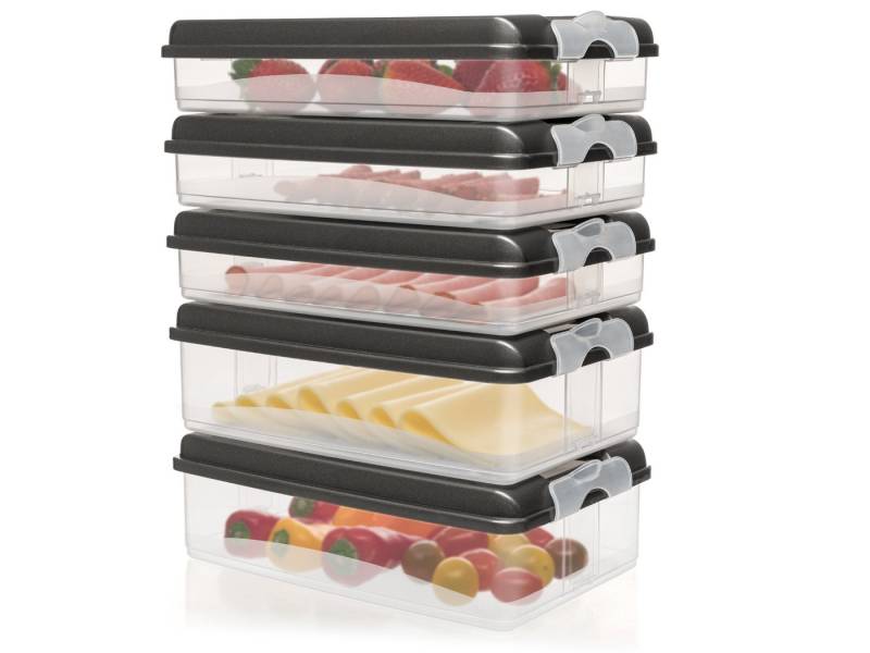 Hausfelder Frischhaltedose Aufschnittdosen (Anthrazit 3x flach, 2x hoch), Kunststoff, (Set, 5-tlg., 3x flach, 2x hoch), Kühlschrank Organizer von Hausfelder