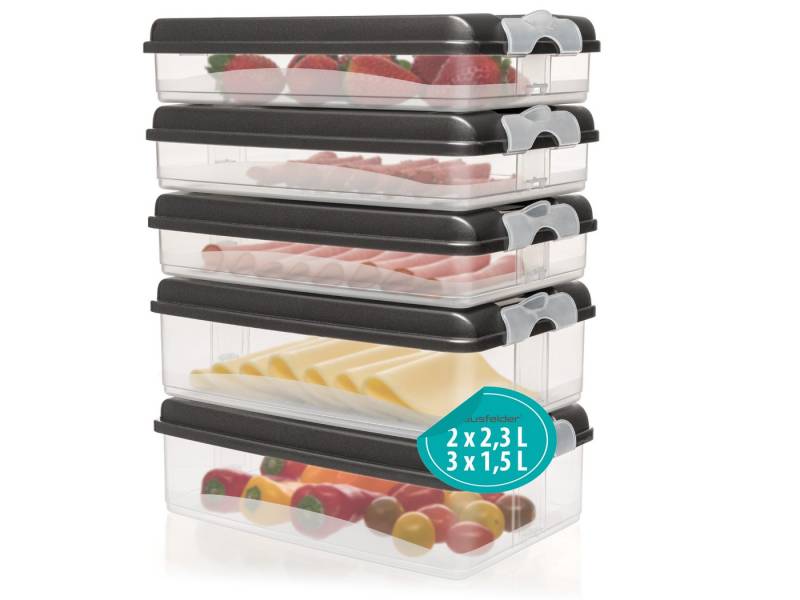 Hausfelder Frischhaltedose Aufschnittdosen für Kühlschrank, Wurst Aufbewahrung mit Deckel, Kunststoff, (Set, 10-tlg., 3x flach, 2x hoch + 5 Deckel), Kühlschrank Organizer, BPA-frei, stapelbar von Hausfelder