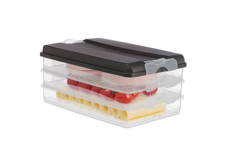 Hausfelder Frischhaltedose Aufschnittdosen 4-teiliges Set (3 x flach + Deckel), Kunststoff, (Set, 4-tlg., 3 x flach + 1 x Deckel), Kühlschrank Organizer, BPA-frei, stapelbar von Hausfelder