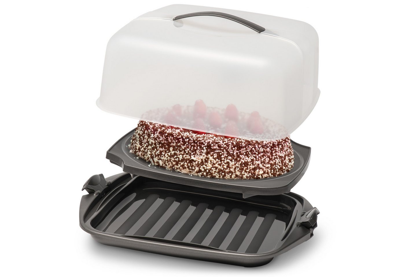 Hausfelder Kuchentransportbox Kuchen Transportbox quadratisch, 28,5 x 28,5 x 13,5 cm, Kunststoff, (Set, 1-tlg., 1 Box), Transportbox mit Deckel, spülmaschinenfest, BPA-frei von Hausfelder