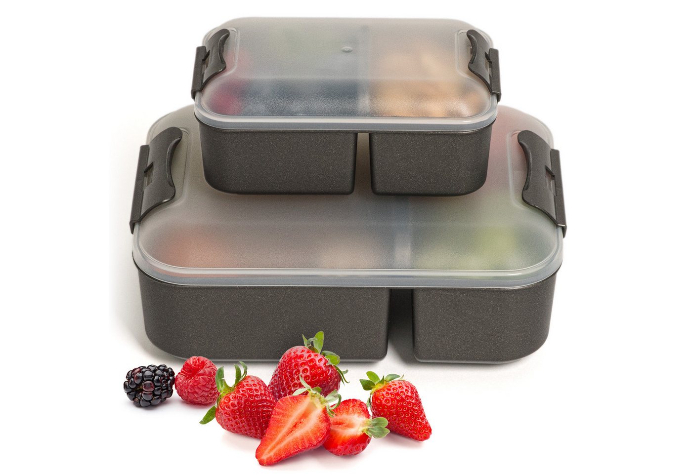 Hausfelder Lunchbox Brotdose 2er Set mit Unterteilung, 1x groß, 1 x klein, Anthrazit, Kunststoff, (2er Set, 6-tlg), spülmaschinengeeignet, langlebig, bruchfest, BPA-frei von Hausfelder