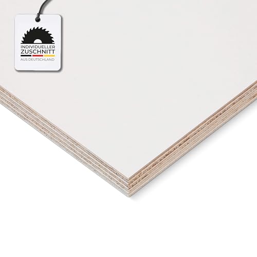 HausFux Multiplex-Platte nach Maß - 1,2 cm starkes Birken-Sperrholz, beidseitig melaminharzbeschichtet, feuchtigkeitsresistente Oberfläche - Handwerker-Qualität - Maßanfertigung (Weiß, 120 x 20 cm) von Hausfux