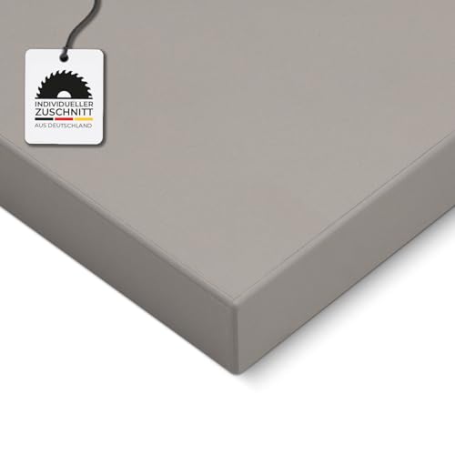 HausFux Spanplatte nach Maß - 2,5 cm stark, melaminbeschichtet, mit ABS-Kante - Made in Germany - Maßanfertigung - für Möbel- und Innenausbau (Platin Grau, 120 x 10 cm) von Hausfux