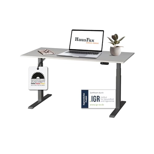 Hausfux Höhenverstellbarer Schreibtisch auf Maß - inkl. 2,5 cm starker, maßgefertigter Tischplatte - 2- oder 3-stufiges Gestell, OLED-Touchpanel (ICY White & Schwarz, 3-stufig, 110 x 70 cm) von Hausfux