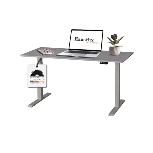 Hausfux Höhenverstellbarer Schreibtisch auf Maß - inkl. 2,5 cm starker, maßgefertigter Tischplatte - 2- oder 3-stufiges Gestell, OLED-Touchpanel (Platin Grau & Grau, 2-stufig, 160 x 80 cm) von Hausfux