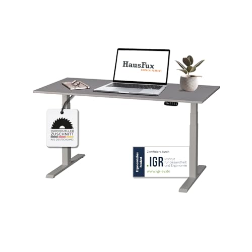Hausfux Höhenverstellbarer Schreibtisch auf Maß - inkl. 2,5 cm starker, maßgefertigter Tischplatte - 2- oder 3-stufiges Gestell, OLED-Touchpanel (Platin Grau & Grau, 3-stufig, 120 x 70 cm) von Hausfux