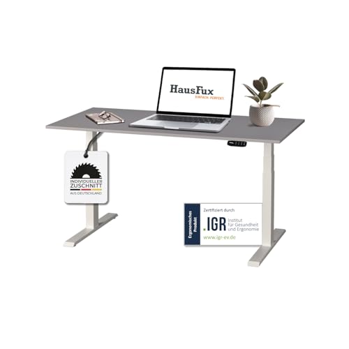 Hausfux Höhenverstellbarer Schreibtisch auf Maß - inkl. 2,5 cm starker, maßgefertigter Tischplatte - 2- oder 3-stufiges Gestell, OLED-Touchpanel (Platin Grau & Weiß, 3-stufig, 160 x 60 cm) von Hausfux
