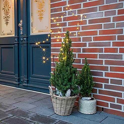 2er Set LED Gartenstecker Sterne mit 50 warmweißen LEDs Weihnachtsstern 50x100 cm mit 6/18h Timerfunktion Außenbereich Gartenstäbe Weihnachtsbeleuchtung Weihnachtsdeko Gartendeko beleuchtet 2er Set LED Gartenstecker Sterne mit 50 warmweißen LEDs Weihnachtsstern 50x100 cm mit 6/18h Timerfunktion Außenbereich Gartenstäbe Weihnachtsbeleuchtung Weihnachtsdeko Gartendeko beleuchtet von Haushalt International