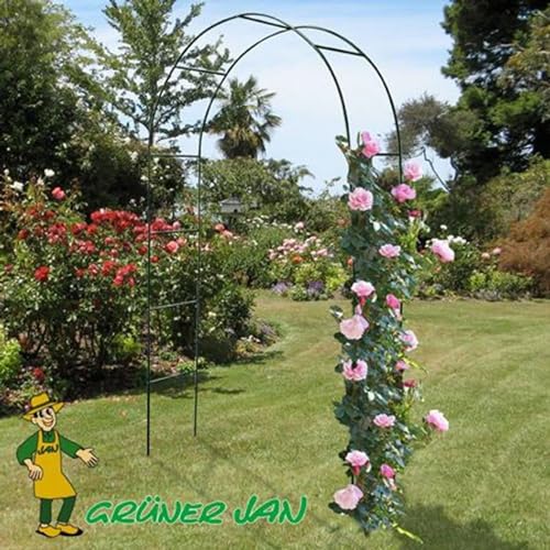 Gartenbogen für Kletterpflanzen und Rosen – 140 x 240 x 37 cm – Gartentür – Rosenbogen aus Metall – für EIN Märchenbild im Garten von Haushalt International