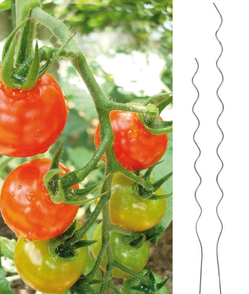 Haushalt International Pflanzentreppe Tomaten-Spiralstab, 150cm Metall, verzinkt (1 St) von Haushalt International