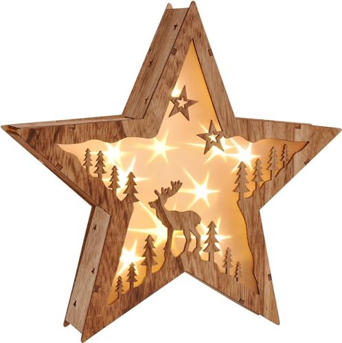 Haushalt International LED Weihnachtsstern Beleuchtung Fensterbeleuchtung Stern schöner Holzstern mit 10 warmweißen LEDs von Haushalt International
