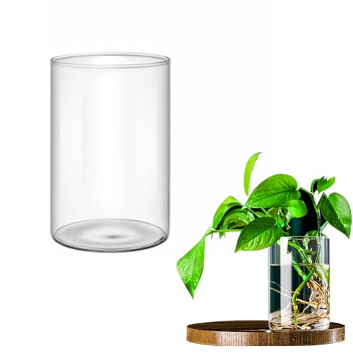 Hausio Glas Blumenvase Glasvase Zylinder, Kerzengläser, Handgemacht Kristall Vasen Tischdeko, Kerzenhalter Glas Blumenblume Pflanzenbehälter für Home Office Deko, Tischdeko Hausio Glas Blumenvase Glasvase Zylinder, Kerzengläser, Handgemacht Kristall Vasen Tischdeko, Kerzenhalter Glas Blumenblume Pflanzenbehälter für Home Office Deko, Tischdeko von Hausio