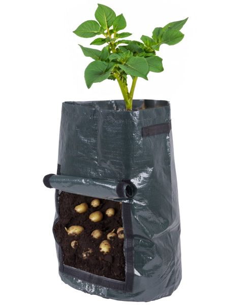 Kartoffel-Pflanztasche PE - Pflanztasche für Kartoffeln - mit seitl... von Hausmarke