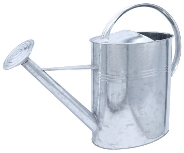 Zinkgießkanne 10 Liter, Metall Gießkanne, Dekogießkanne, Blumengieß... Zinkgießkanne 10 Liter, Metall Gießkanne, Dekogießkanne, Blumengieß... von Hausmarke