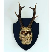 Montierter Geweihschädel // Totenkopf Dekor Gothic Handgemacht By Haus Of Skulls von HausoSkulls