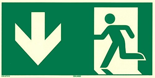 hausundwerkstatt24 Rettungswegschild Durch Notausgang, 297 x 148 mm, Kunststoff, Nachleuchtend + Selbstklebend, Grün, Standardisiertes Sicherheitszeichen von HausundWerkstatt24