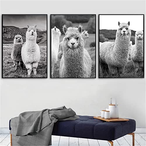 Hava Kolari 3er Poster Set Alpaka Wandbilder, Schwarz und Weiß Modern Leinwand Malerei, Löwenzahn Blume Bilder Deko Schlafzimmer, Wandposter, Ohne Rahmen (40x50 cm) von Hava Kolari