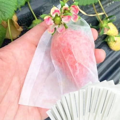 100-teiliges Garten-Erdbeergabel und -beutel Set für Obsternte und Transport von HavenDomicile